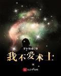 我不愛術士