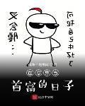 在忍界當首富的日子