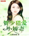 賀少獵愛小嬌妻