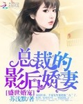 盛世婚寵：總裁的影後嬌妻