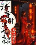 清穿小財迷：四爺萌後嫁到