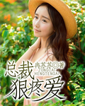 總裁狠疼愛