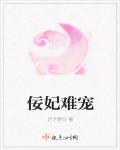 清宮佞妃