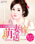 宸少求倒貼：萌妻嫁一送二