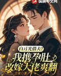 白月光借夫？我攜孕肚改嫁大佬爽翻