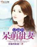 總裁的呆萌甜妻